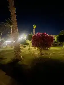 The Grand Resort - 72