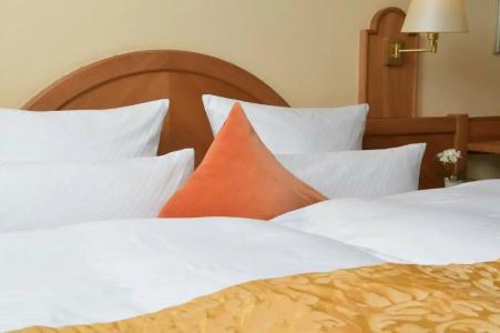 Best Western Plus Alpenhof - 92