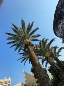 Tusan Beach Resort - All Inclusive - 32