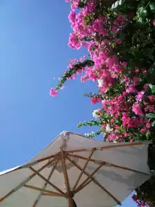 Concorde El Salam Sharm El Sheikh Sport - 85