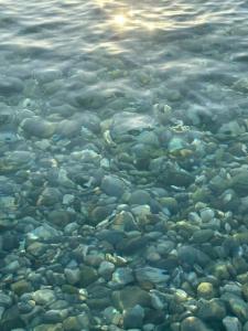 Amara Luxury Resort & Villas - 71