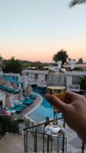 Crystal Prestige Elite - 77