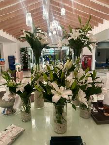 Akra Fethiye The Residence Tui Blue Sensatori - Ultra All Inclusive - Adults Only - 13