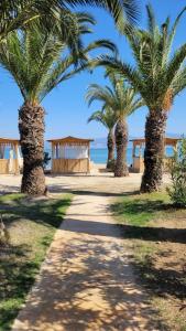 Venosa Beach Resort & Spa - All Inclusive - 57