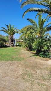 Venosa Beach Resort & Spa - All Inclusive - 58