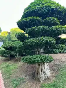 Limak Arcadia Sport Resort Belek - 89