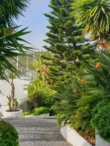 Yacht Classic - Boutique Class - 43