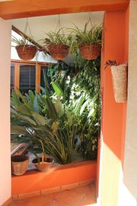 ApartPuerto Mar - 45