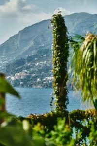 Botanico San Lazzaro - 34