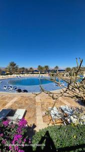 Mövenpick Resort & Spa Tala Bay Aqaba - 62