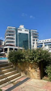 Saritas ONLY FAMILY CONCEPT - 38