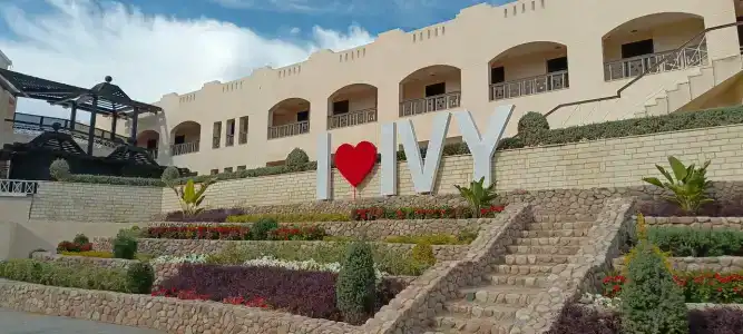 Ivy Cyrene Sharm Resort Adults Friendly Plus 13 - 46