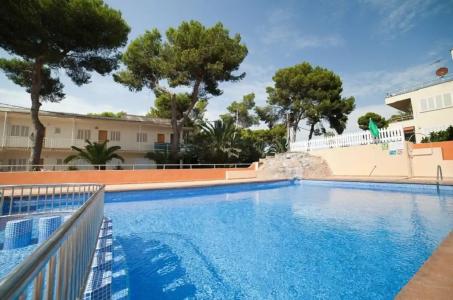 Vibra Palma Cactus - 60