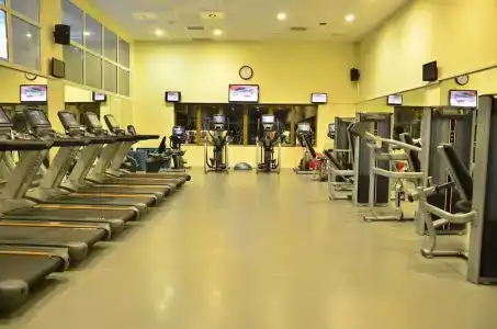 Polat Palandöken - 88