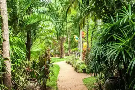 Timber House Aonang - 12