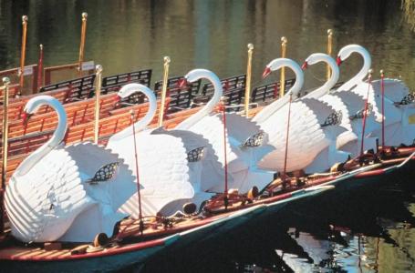 Residence Inn by Marriott Boston Downtown Seaport - 20