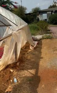 Amons Belek - Adult Only - 97