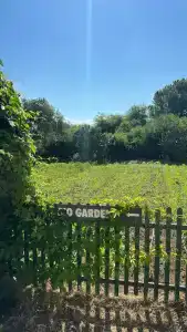 Belconti Resort - 75