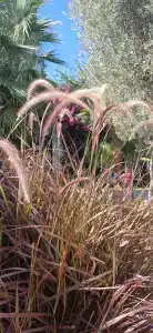 Bitez Garden Life - 48