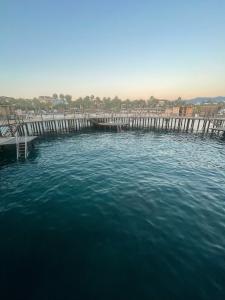 Blue Marlin Deluxe Spa & Resort - 91