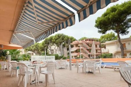 Vibra Palma Cactus - 15