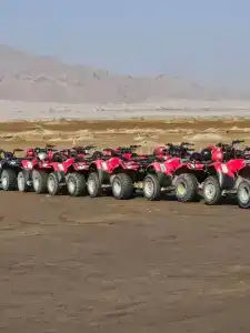 Rehana Sharm Resort - Aquapark & Spa - Couples and Family Only - 35