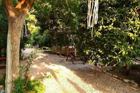 Olympos Yakamoz Pansiyon - 19