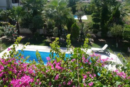 Asur & Aparts & Villas - 12