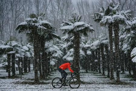 Carlemany Girona - 20