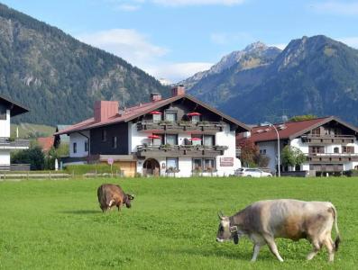 Best Western Plus Alpenhof - 25