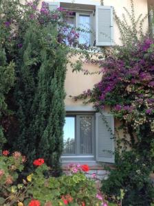 Emelisse Nature Resort - 13