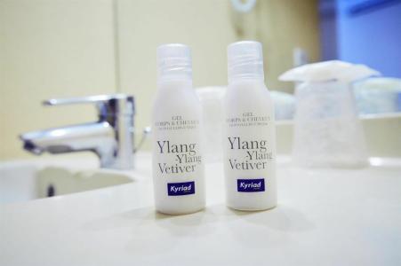 Kyriad Vannes Centre Ville - 29