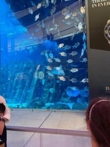 Radisson Resort Ras Al Khaimah Marjan Island - 44