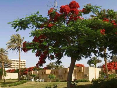 Mercure Ismailia Forsan Island - 96