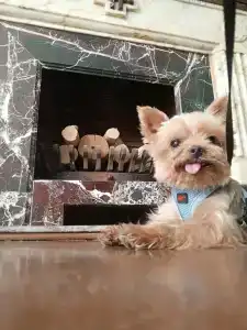 Labranda Ephesus Princess - All Inclusive - 55