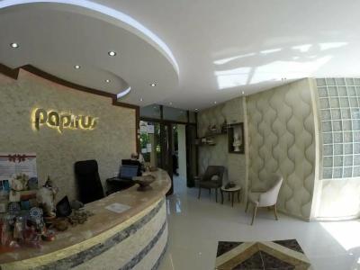 Papirus - 60