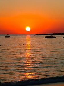 Sealife Buket Resort & Beach - 18