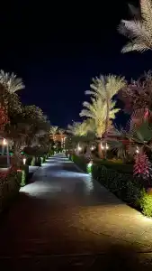 Parrotel Lagoon Waterpark Resort - 90