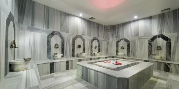 Palan Ski & Convention Resort - 13