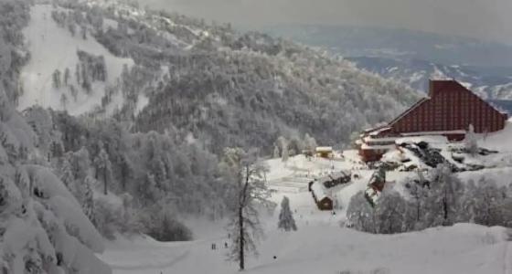 The Green Park Kartepe - 74