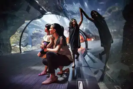 Ibis One Central - 30