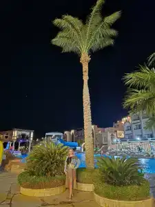 Sunny Days El Palacio Resort & Spa - 88