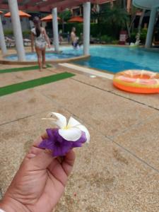 Kata Sea Breeze Resort - SHA Plus - 89