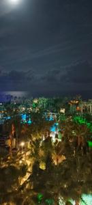 Mukarnas Spa & Resort - 40