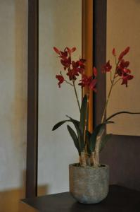 Comfort Rome Airport Fiumicino - 11