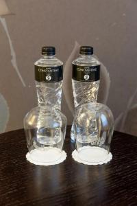 Constantine the Great - 48