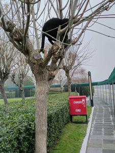 Renaissance Polat Istanbul - 33