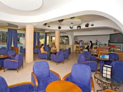 Vibra Palma Cactus - 73