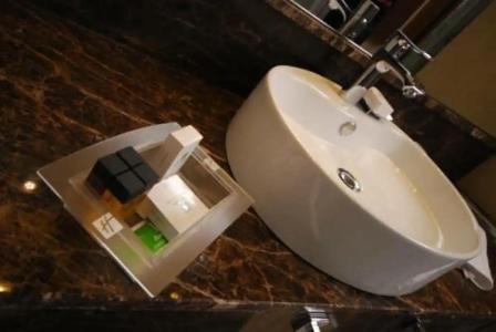 Holiday Inn Ankara-Kavaklidere, an IHG - 95