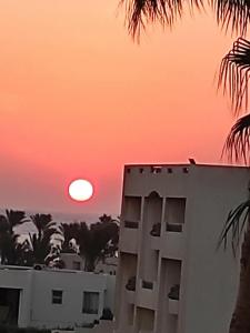 Aurora Oriental Resort Sharm El Sheikh - 41